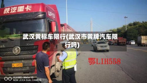 武汉黄标车限行(武汉市黄牌汽车限行吗)-第1张图片