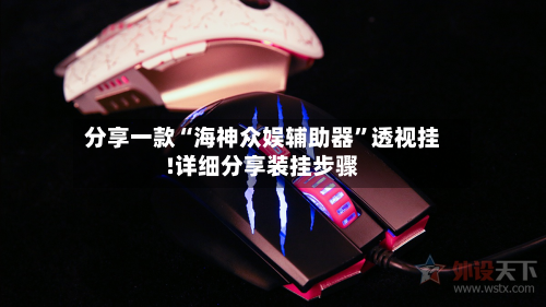 分享一款“海神众娱辅助器”透视挂!详细分享装挂步骤-第3张图片