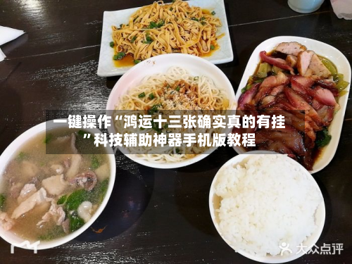 一键操作“鸿运十三张确实真的有挂”科技辅助神器手机版教程-第2张图片
