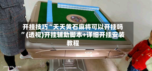 开挂技巧“天天黄石麻将可以开挂吗”(透视)开挂辅助脚本+详细开挂安装教程-第3张图片
