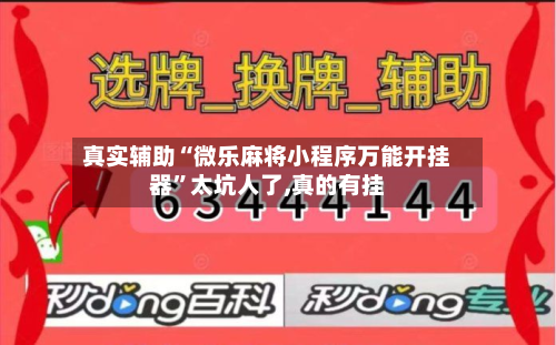 真实辅助“微乐麻将小程序万能开挂器”太坑人了,真的有挂-第2张图片
