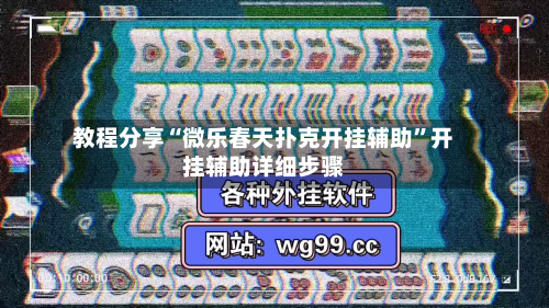 教程分享“微乐春天扑克开挂辅助	”开挂辅助详细步骤-第2张图片