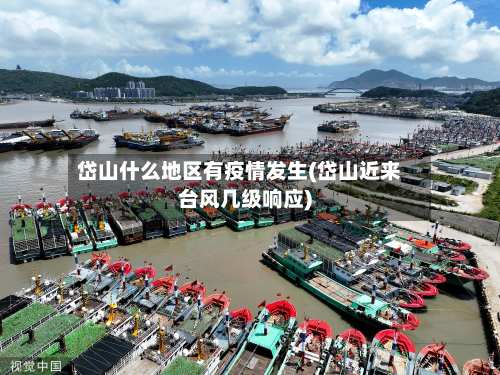 岱山什么地区有疫情发生(岱山近来台风几级响应)-第1张图片