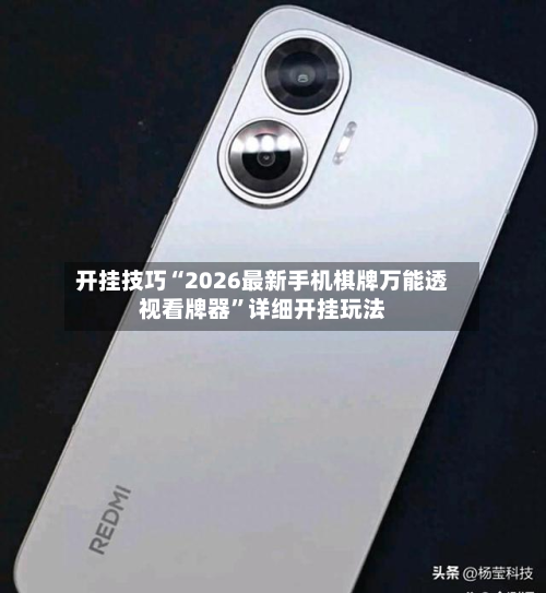 开挂技巧“2026最新手机棋牌万能透视看牌器”详细开挂玩法-第2张图片