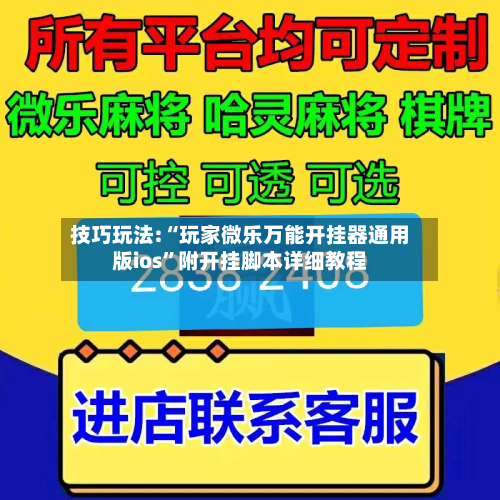 技巧玩法:“玩家微乐万能开挂器通用版ios”附开挂脚本详细教程-第2张图片