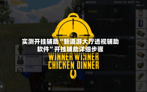 实测开挂辅助“新道游大厅透视辅助软件”开挂辅助详细步骤-第3张图片