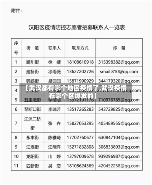 【武汉都有哪个地区疫情了,武汉疫情在哪个区爆发的】-第1张图片