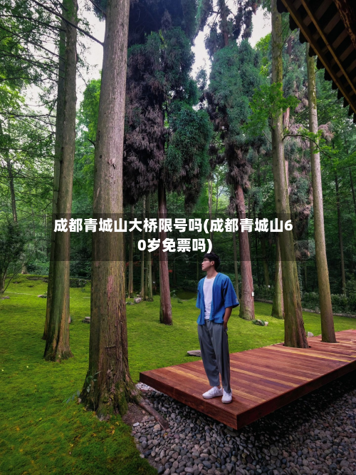 成都青城山大桥限号吗(成都青城山60岁免票吗)-第1张图片