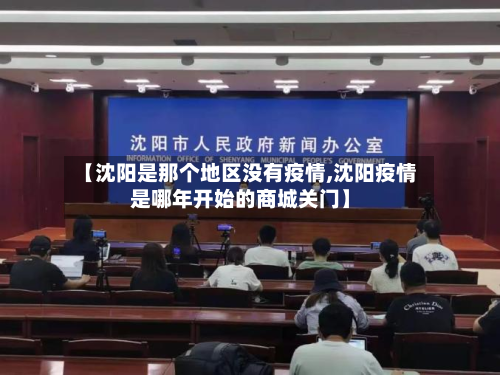【沈阳是那个地区没有疫情,沈阳疫情是哪年开始的商城关门】-第1张图片