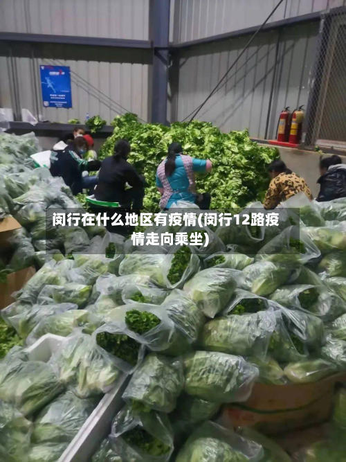 闵行在什么地区有疫情(闵行12路疫情走向乘坐)-第1张图片