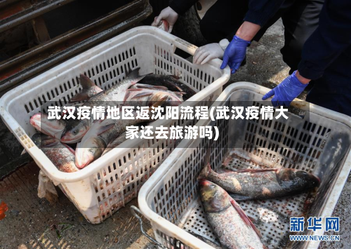武汉疫情地区返沈阳流程(武汉疫情大家还去旅游吗)-第1张图片