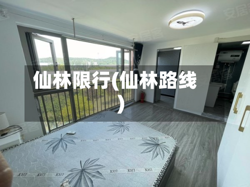仙林限行(仙林路线)-第1张图片
