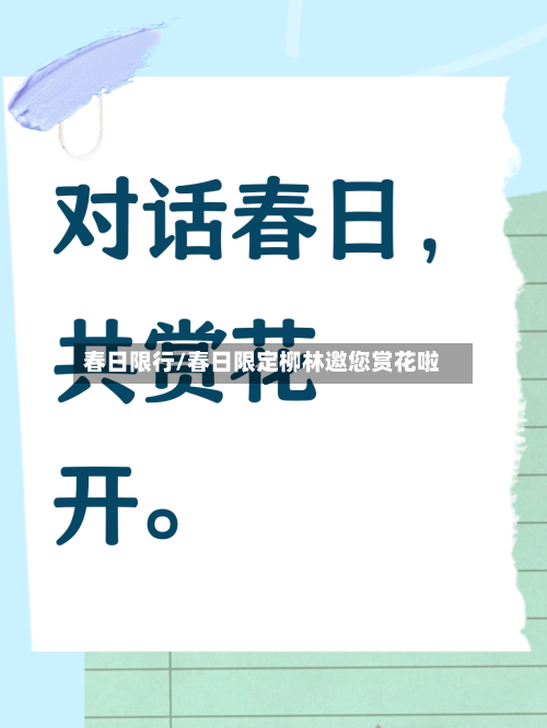 春日限行/春日限定柳林邀您赏花啦-第1张图片