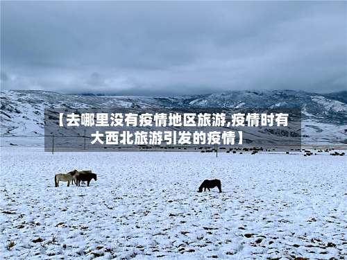 【去哪里没有疫情地区旅游,疫情时有大西北旅游引发的疫情】-第1张图片