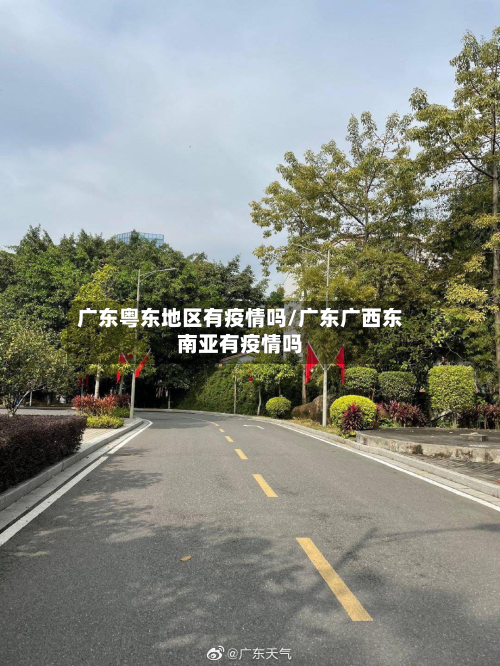 广东粤东地区有疫情吗/广东广西东南亚有疫情吗-第1张图片