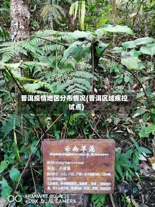 普洱疫情地区分布情况(普洱区域疾控试点)-第1张图片