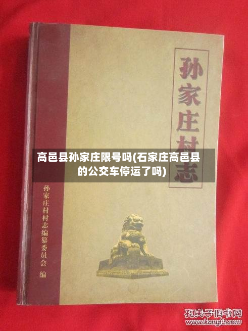 高邑县孙家庄限号吗(石家庄高邑县的公交车停运了吗)-第1张图片