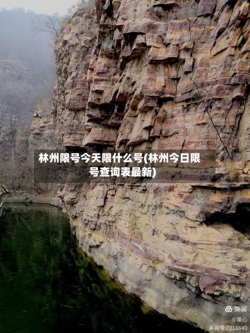 林州限号今天限什么号(林州今日限号查询表最新)-第1张图片