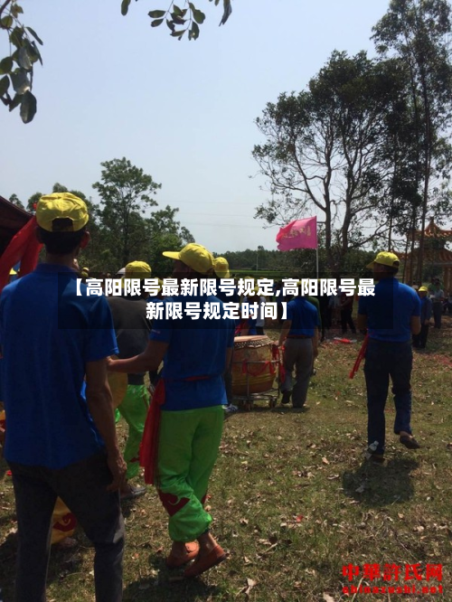 【高阳限号最新限号规定,高阳限号最新限号规定时间】-第1张图片