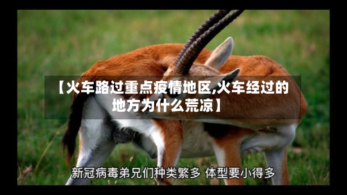 【火车路过重点疫情地区,火车经过的地方为什么荒凉】-第1张图片