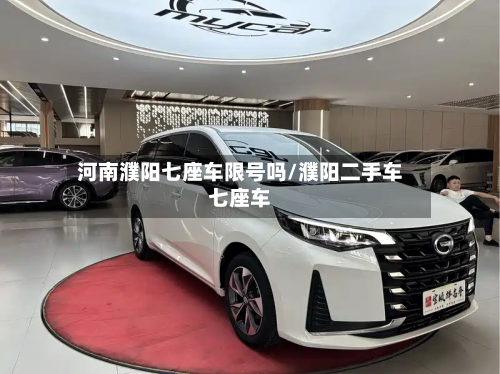 河南濮阳七座车限号吗/濮阳二手车七座车-第1张图片