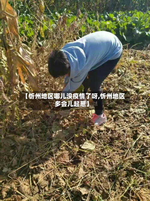 【忻州地区哪儿没疫情了呀,忻州地区多会儿起葱】-第1张图片