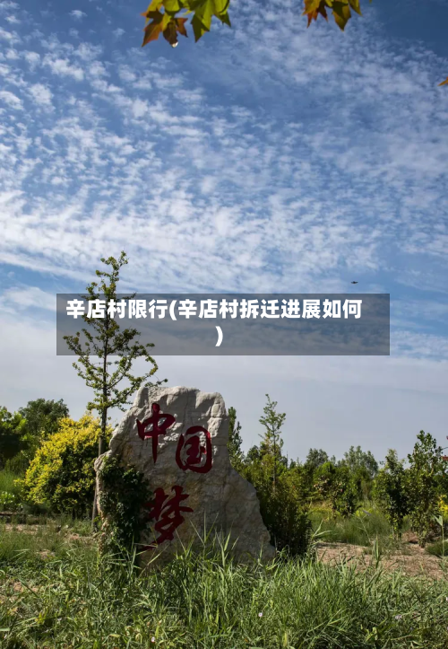 辛店村限行(辛店村拆迁进展如何)-第1张图片