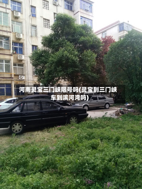 河南灵宝三门峡限号吗(灵宝到三门峡车到滨河湾吗)-第1张图片