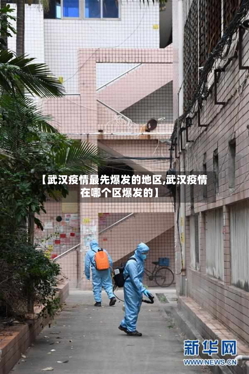 【武汉疫情更先爆发的地区,武汉疫情在哪个区爆发的】
