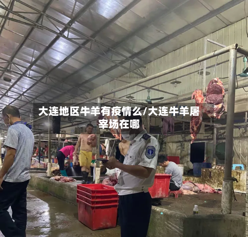 大连地区牛羊有疫情么/大连牛羊屠宰场在哪-第1张图片