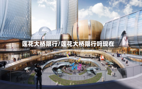 莲花大桥限行/莲花大桥限行吗现在-第1张图片