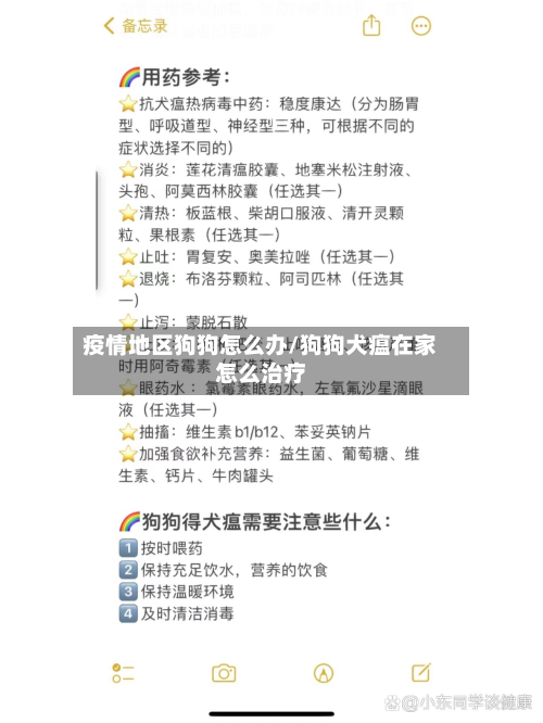 疫情地区狗狗怎么办/狗狗犬瘟在家怎么治疗-第1张图片