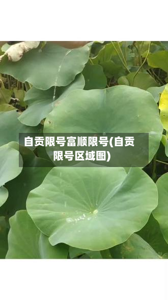 自贡限号富顺限号(自贡限号区域图)-第1张图片