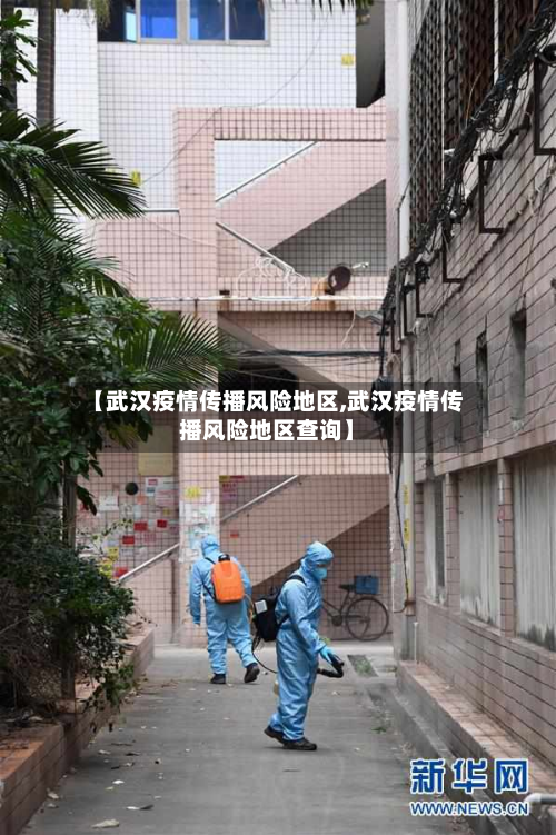 【武汉疫情传播风险地区,武汉疫情传播风险地区查询】-第1张图片