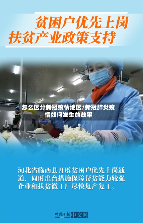 怎么区分新冠疫情地区/新冠肺炎疫情如何发生的故事-第3张图片