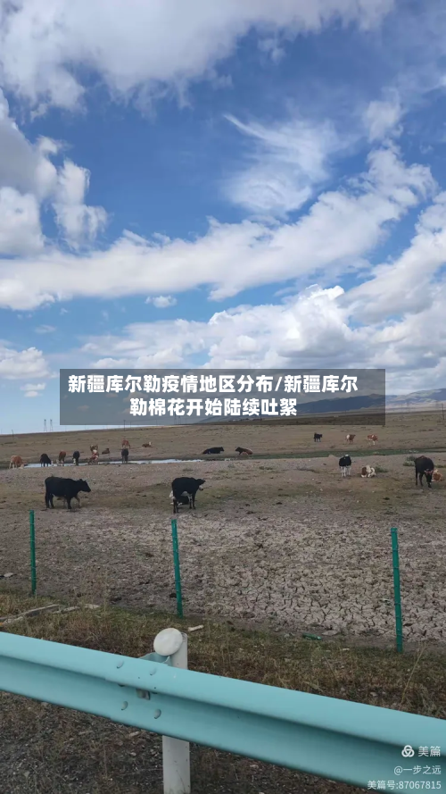 新疆库尔勒疫情地区分布/新疆库尔勒棉花开始陆续吐絮-第1张图片