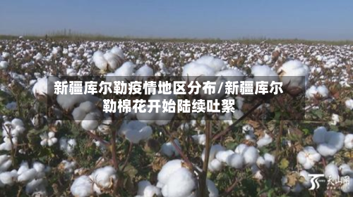 新疆库尔勒疫情地区分布/新疆库尔勒棉花开始陆续吐絮-第2张图片