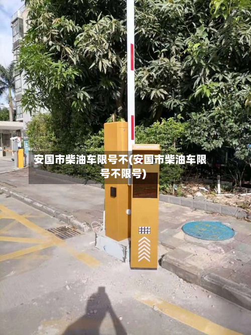 安国市柴油车限号不(安国市柴油车限号不限号)-第2张图片