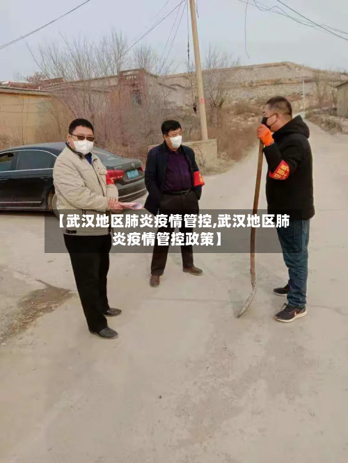 【武汉地区肺炎疫情管控,武汉地区肺炎疫情管控政策】-第2张图片