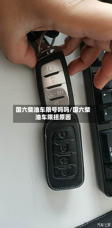 国六柴油车限号吗吗/国六柴油车限扭原因