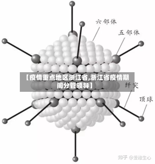 【疫情重点地区浙江省,浙江省疫情期间分管领导】-第1张图片