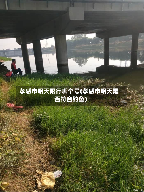 孝感市明天限行哪个号(孝感市明天是否符合钓鱼)-第1张图片