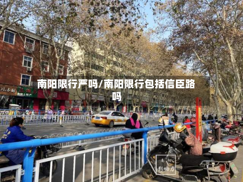 南阳限行严吗/南阳限行包括信臣路吗-第3张图片