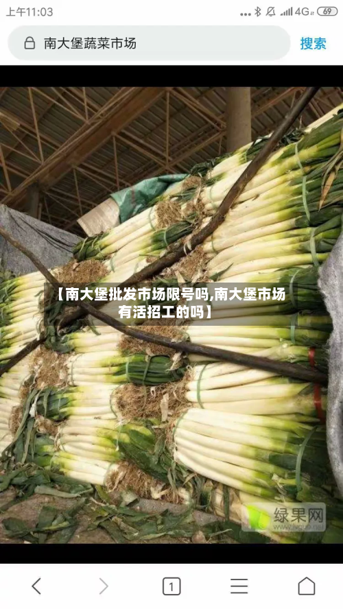 【南大堡批发市场限号吗,南大堡市场有活招工的吗】-第1张图片
