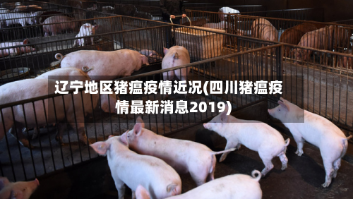 辽宁地区猪瘟疫情近况(四川猪瘟疫情最新消息2019)-第2张图片