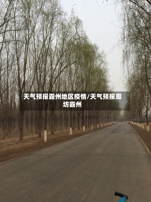 天气预报霸州地区疫情/天气预报廊坊霸州-第1张图片
