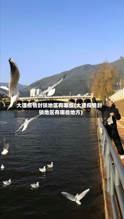 大理疫情封锁地区有哪些(大理疫情封锁地区有哪些地方)-第1张图片