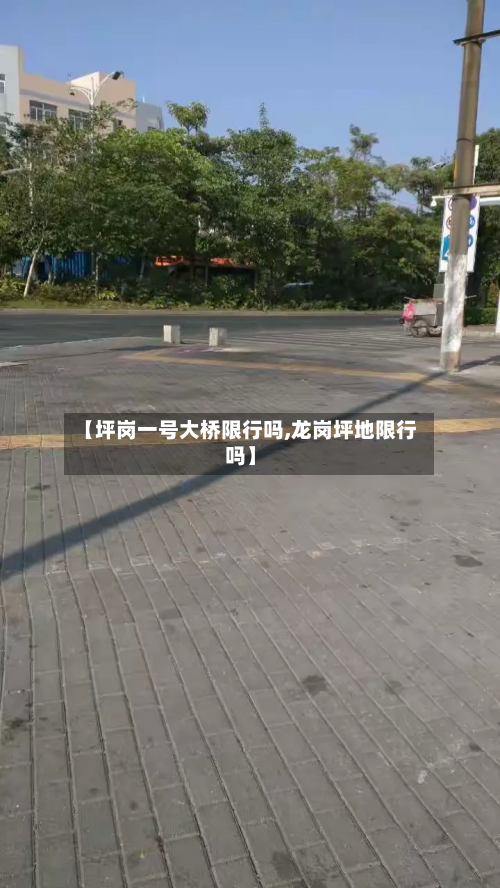 【坪岗一号大桥限行吗,龙岗坪地限行吗】