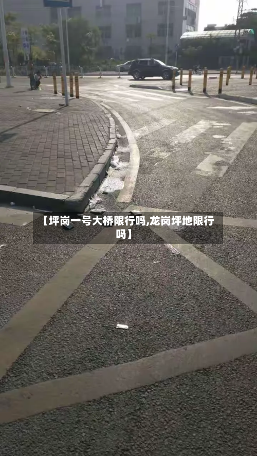 【坪岗一号大桥限行吗,龙岗坪地限行吗】-第3张图片