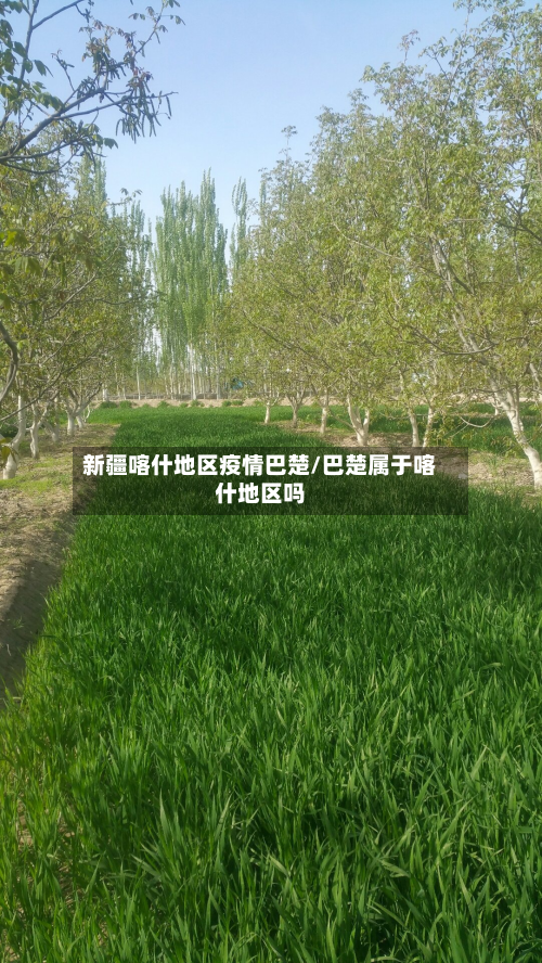 新疆喀什地区疫情巴楚/巴楚属于喀什地区吗